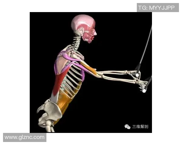 足球明星肌肉对比高清图解剖各大球星的力量与技巧之美